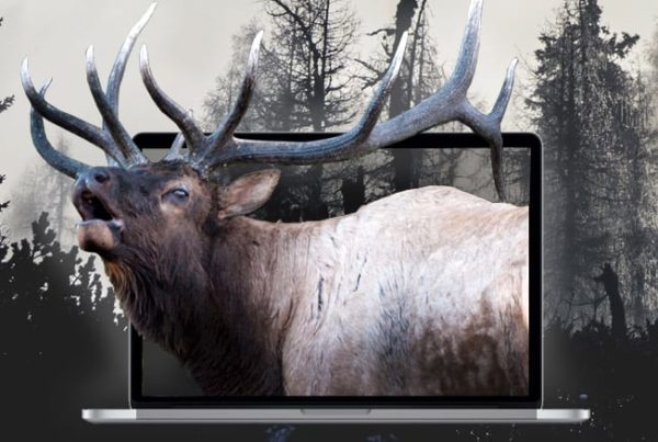 Hunting-Outdoor-Website-Design