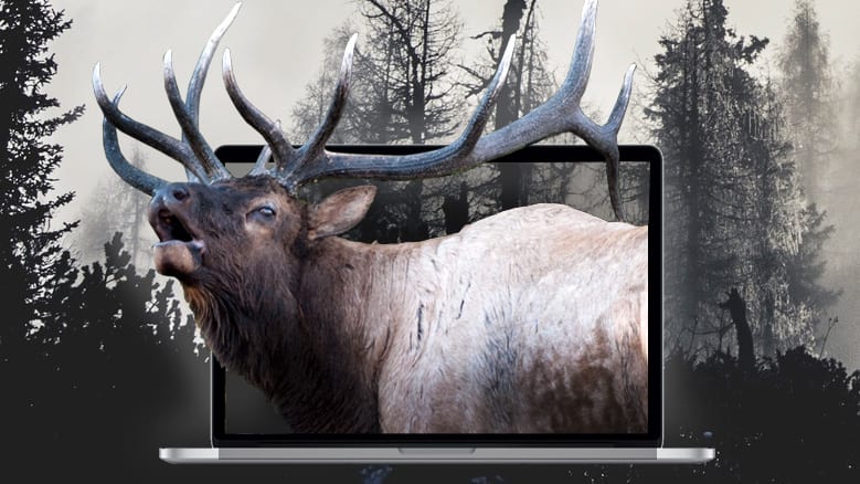 Hunting-Outdoor-Website-Design