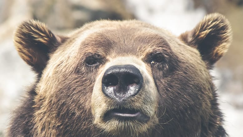 hunting-shooting-inbound-marketing