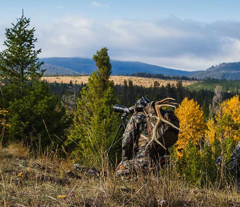 Build Your Hunting Brand