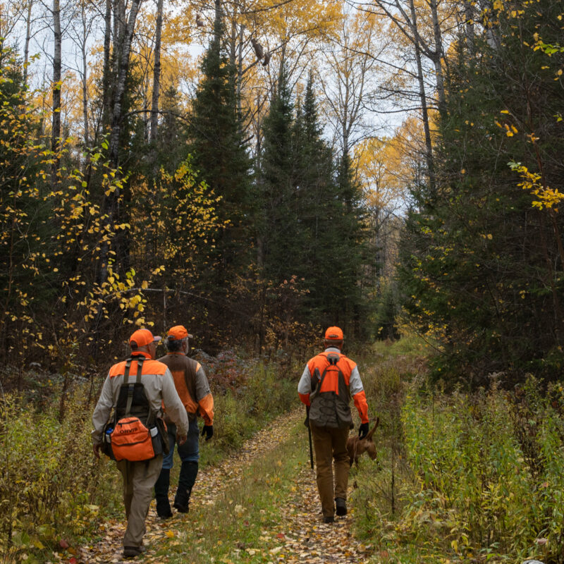 storybrand hubspot for the hunting outdoor shooting sports